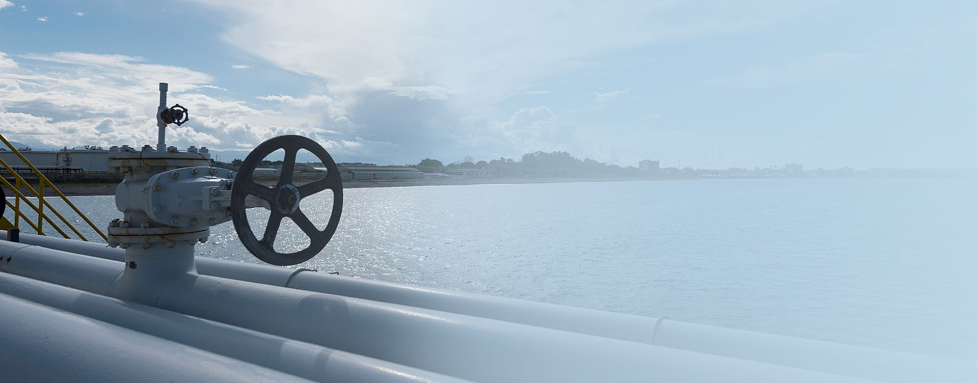 GESTIONE DELLE RISORSE IDRICHE